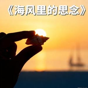海风里的思念