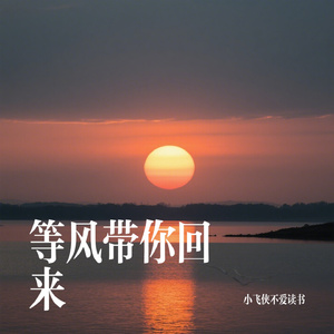 等风带你回来