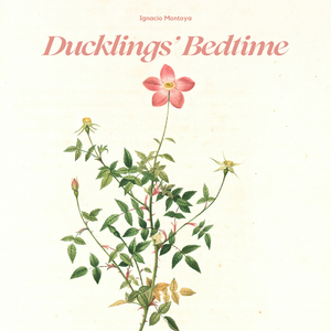 Ducklings’ Bedtime