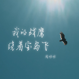 我的战鹰绕着宝岛飞