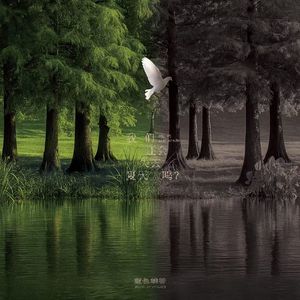 我们还会失去夏天吗