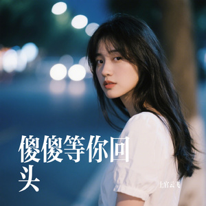 傻傻等你回头
