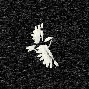 Reminisce (Prod. Jianastic.X)