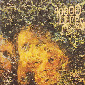 Kérgeskezű favágók