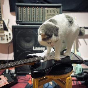 安河桥吉他版间奏（纯音乐）（翻自 宋冬野）