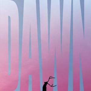 Dawn