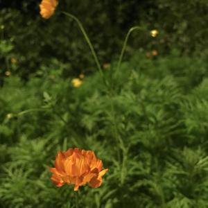 曾经的 prod.by Xiangyue