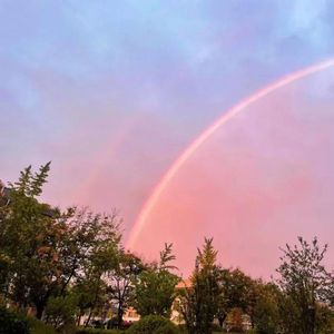 雨后的彩虹