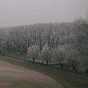 爱是需要见面的