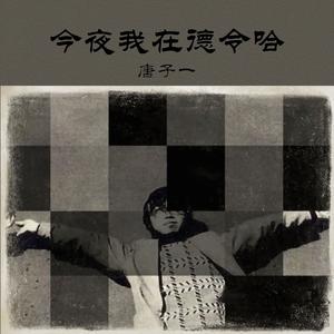 今夜我在德令哈