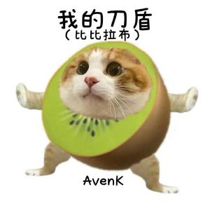 我的刀盾（比比拉布）