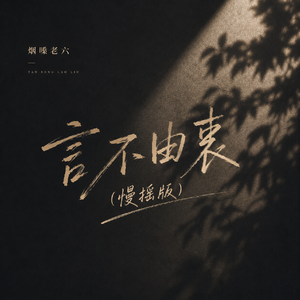 言不由衷(慢摇版)