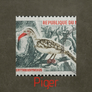 Piger