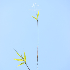 月光洒落 (催眠曲)