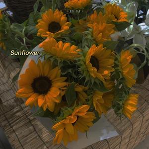 Жоқ(Orginal Mix）