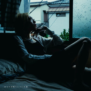 あなたが眠りについた後