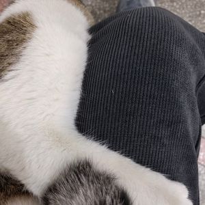 Autumn （The end of autumn）