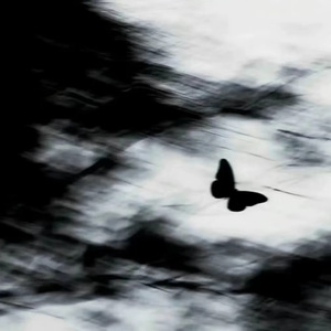 心中的单曲循环