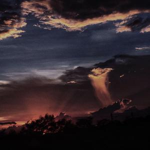 风吹动你的睫毛散落花海一片