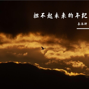 担不起未来的年纪