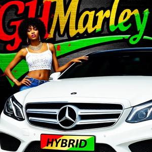 Hybrid