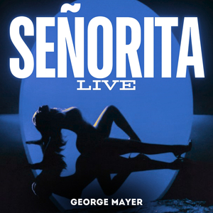 Señorita (Live)