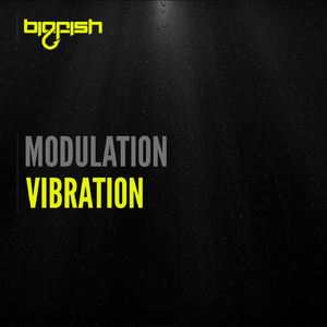 Vibration (Original Mix)