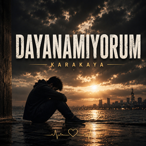Dayanamıyorum