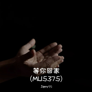等你回家（MU5375）