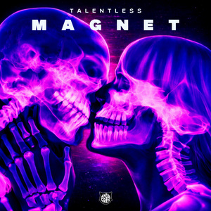Magnet
