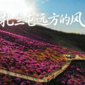 扎兰屯 远方的风