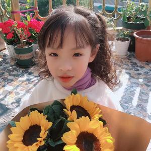 萤火虫对星星说—金彦伲/八音盒艺术