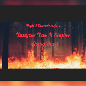 Going Hard (feat. Skybee)