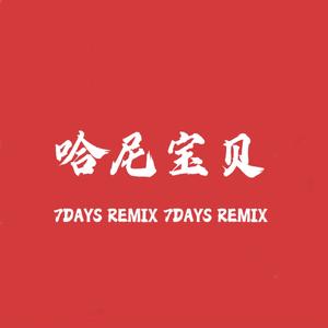 南征北战 - 哈尼宝贝 (7DAYS Remix)