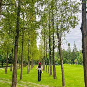 如故（翻自 小月）