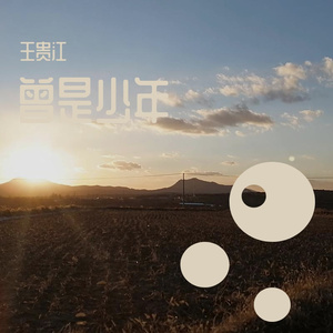 《不悔少年》（cover：高进）（翻自 王贵江）