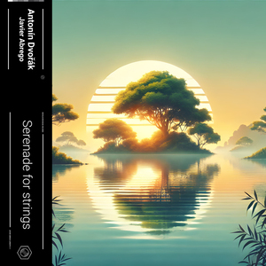 Serenade for Strings (Dvorak Variation for Piano and Orchestra in E Major, Op22, B. 52: II. Tempo di valse)