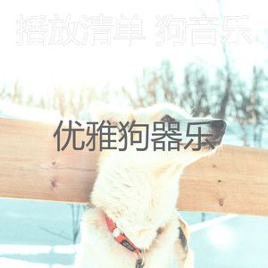 抚慰的训练你的狗回忆