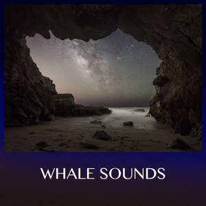 Relaxing Rain (Original Mix)