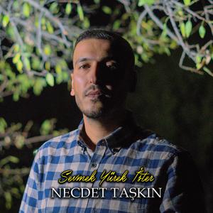 Sevmek Yürek İster