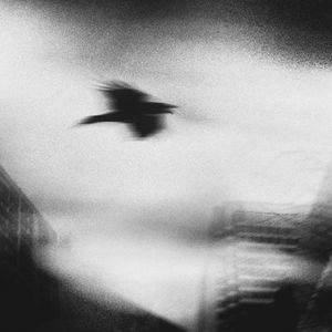 断电-h3R3、黄礼格（cover by 8d14k）