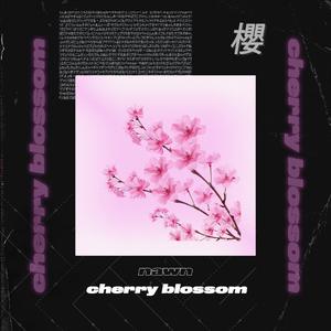 Cherry Blossom