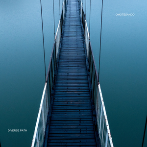 Diverse Path