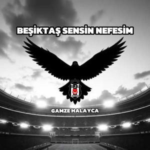 Beşiktaş sensin nefesim