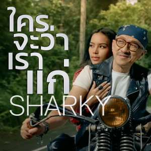 ใครจะว่าเราแก่