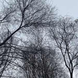 眼泪(Prod·Roman）