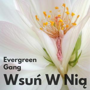 Wsuń W Nią