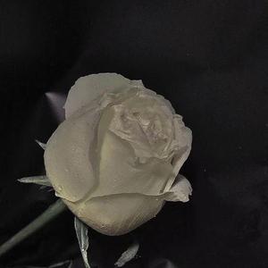 You say for my love（Prod by PRO.J）