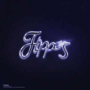 Flippers