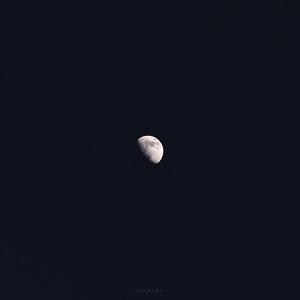 旧事如新（翻自 林忆）